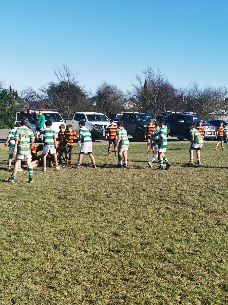 Hannah Choat tweet media