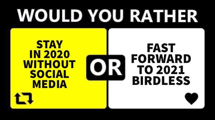 WeDeyEventsTT's tweet photo. Would you rather? 👀 
🇹🇹 Trini Edition 🇹🇹 
#wedey #wyr #trinidadandtobago #caribbean https://t.co/jNsHXyWUFW