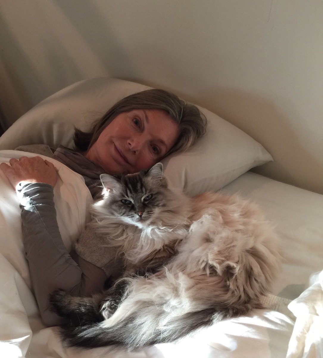 realssullivan's tweet photo. Lost a friend, a companion, a sweet spirit... she brought us the simple gift of her presence and we loved her. #Clare https://t.co/4fvz4OSDMF