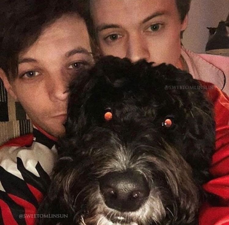 lalunalosa_'s tweet photo. Szybki, bolesny ale przepiękny thread przeróbek z Larrym 🥺💚💙 https://t.co/g5k2hvymZZ