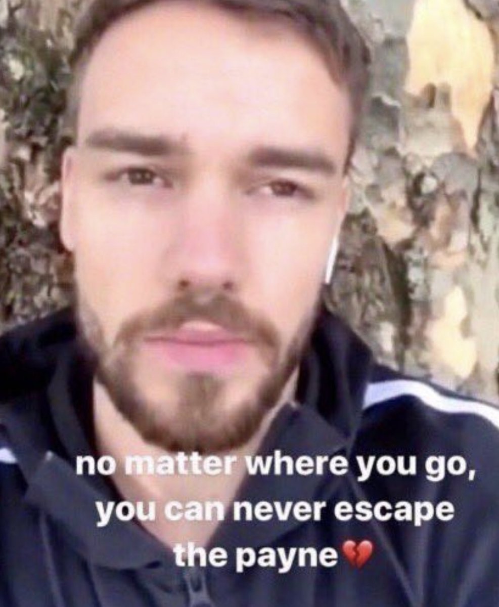 my favorite liam memes ~ a thread