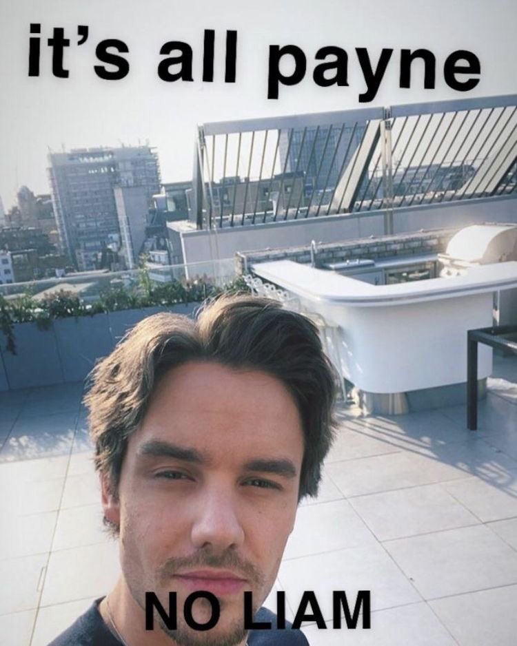 my favorite liam memes ~ a thread
