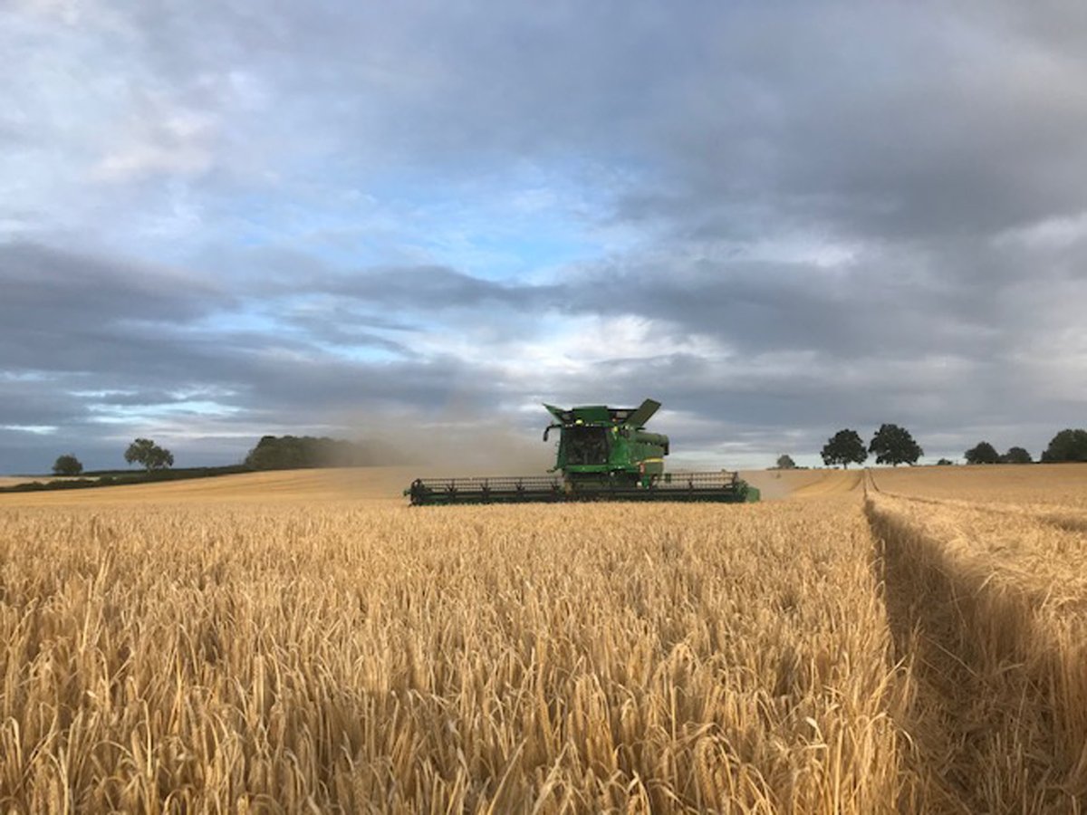 FarolLtd's tweet photo. Release the beast! This John Deere S790i has been unleashed into some winter barley with its 40ft header today, using TouchSet™ automatic combine adjustment and guidance for maximum output! #Harvest20 #FearTheDeere #MaximumOutput #ReleaseTheBeast https://t.co/gvCCtFAXIJ