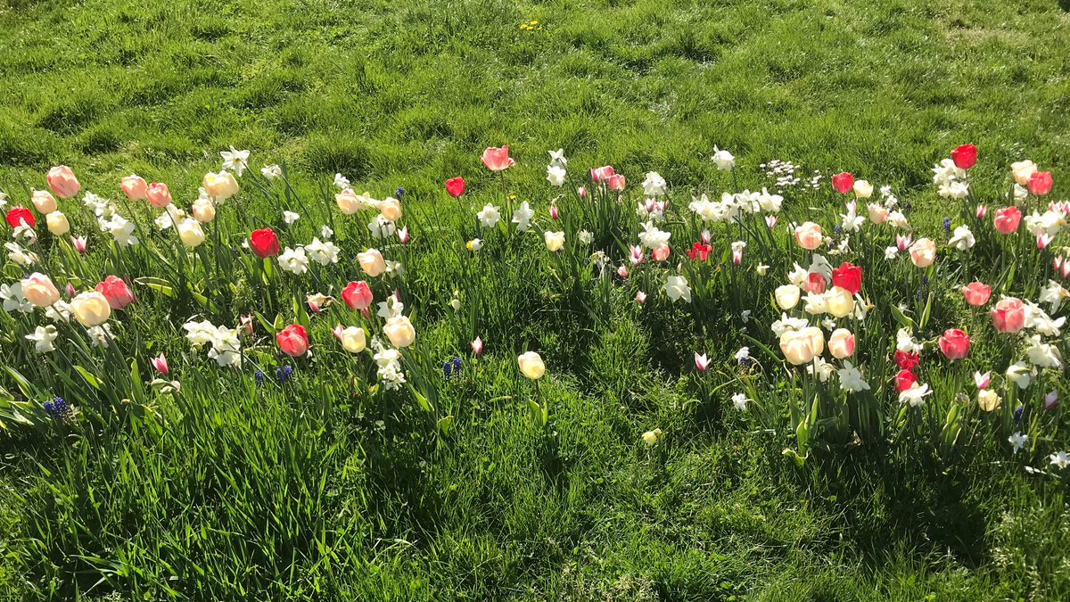 MJhogasundram's tweet photo. Real strength isn’t control. It’s knowing when to let go. - Christopher Barzak
📷 #Geneva #Switzerland #NaturePhotography #lifequotes #dailymotivation #artofsurrender #positiveenergy #SaturdayVibes 🌷 https://t.co/1VNU96VxUj