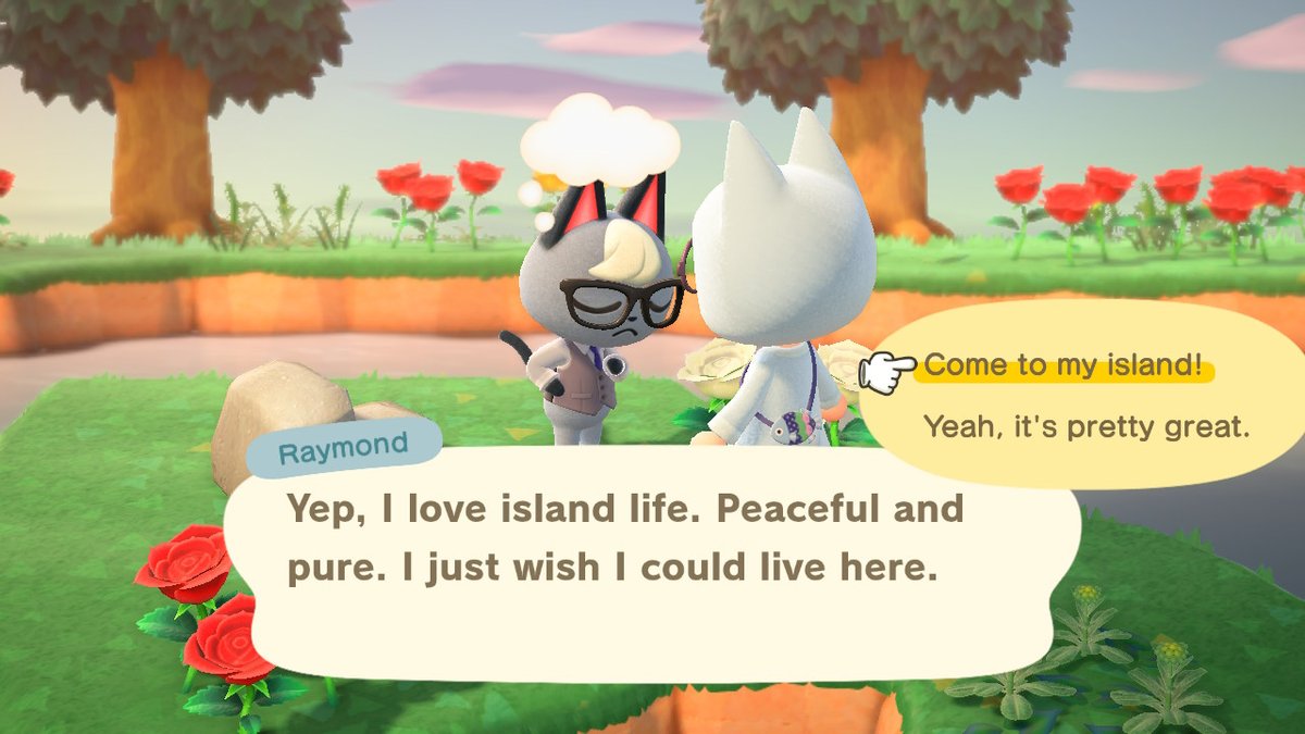 ShayBrown829's tweet photo. I found Raymond today!!! He filled my last plot! #AnimalCrossing #ACNH #NintendoSwitch https://t.co/mofF4ahGfV