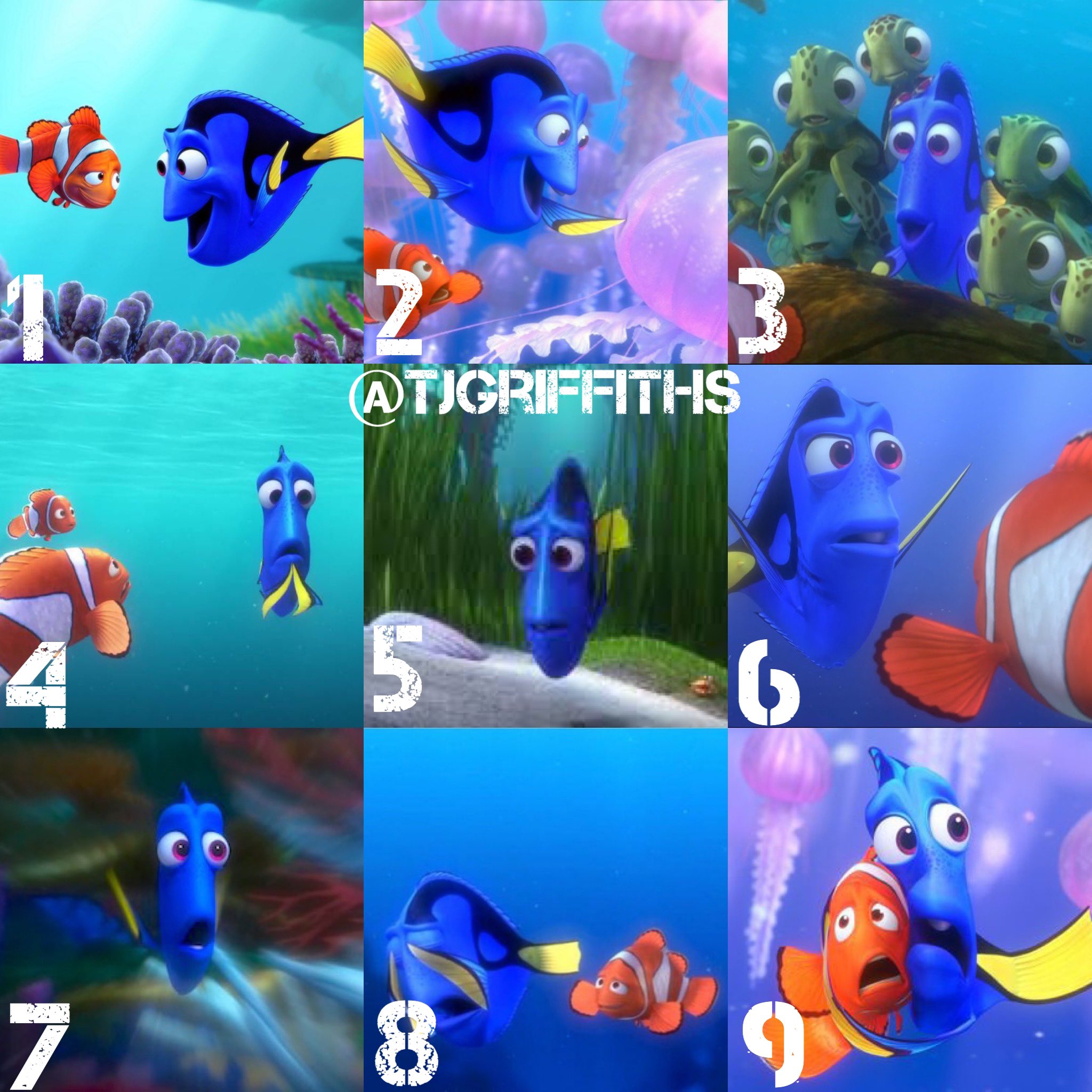 Tom G Morning For Today S Mood On A Scale Of Dory How Are You Feeling I M A 3 Gym Reopens And I Ve Got A 7am Slot Then Later