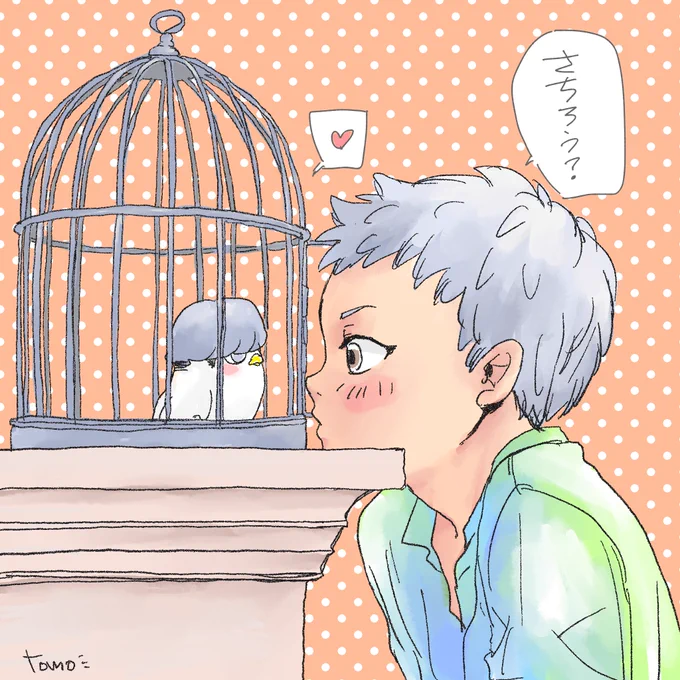 さちろー小さくなった?

こーらいくん何言ってんの💦!!!!

#昼星 