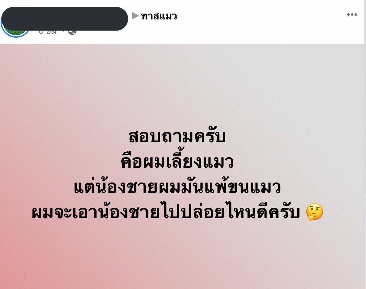 hi babe ☁️ tweet media