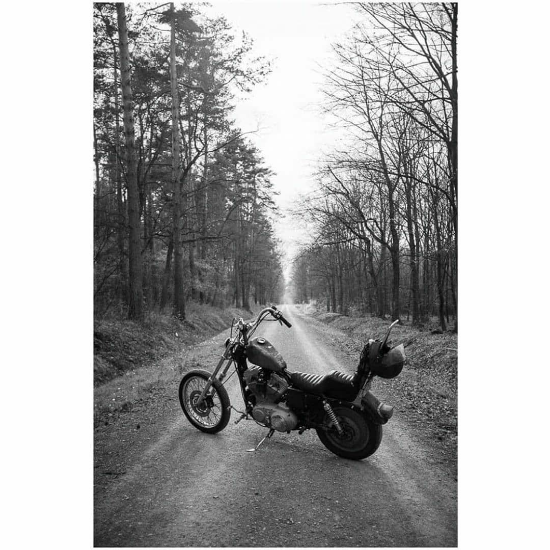 chopcult's tweet photo. Have a great weekend, and be sure to enjoy the ride! Photo by @duawdt. #chopcult #sportster #6over #hd #harleydavidson #letsbringbackthefun  -  https://t.co/N4zmakEA2D https://t.co/BrV93zHTeG