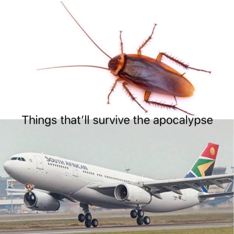 Gavin Dace tweet media