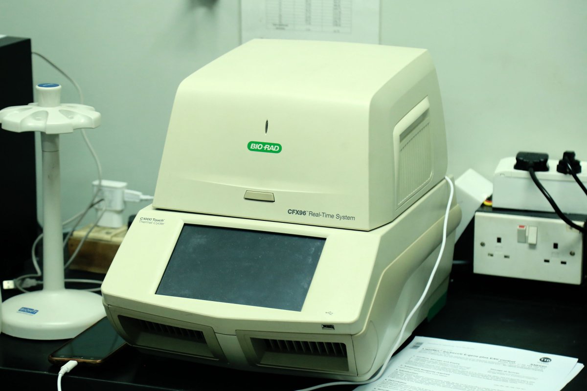 Khabarhub_Eng's tweet photo. Mechi Zonal Hospital gets new PCR machine | https://t.co/MGqKYDdf1l
#Khabarhub #MechiZonalHospital #PCRMachine https://t.co/vINwWG0jmD