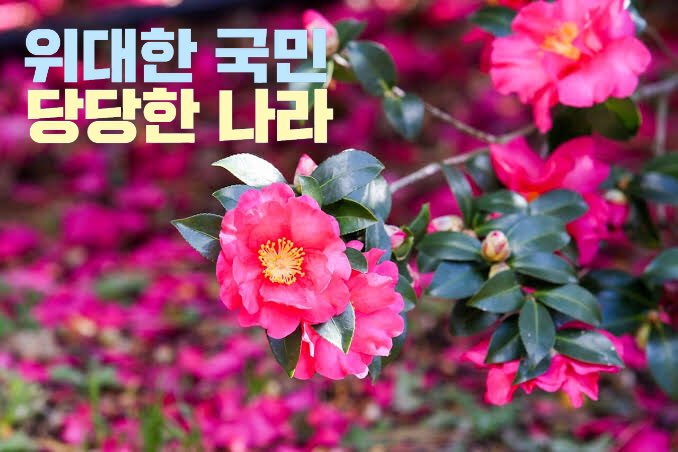 위대한 국민 당당한 나라 1화:
제주도
🌺제주 4.3 사건 만드는 하루🌺
#전당대회 #전대 #정기전국대의원대회 #전국대의원대회 #8월29일 #더불어민주당 #더민주 #민주당 https://t.co/ixq6mKMS2I