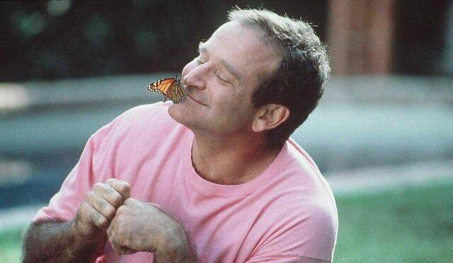 you decide who you are. on Twitter: "if you're having a bad day, here are  some photos of Robin Williams playing with a butterly :)… "