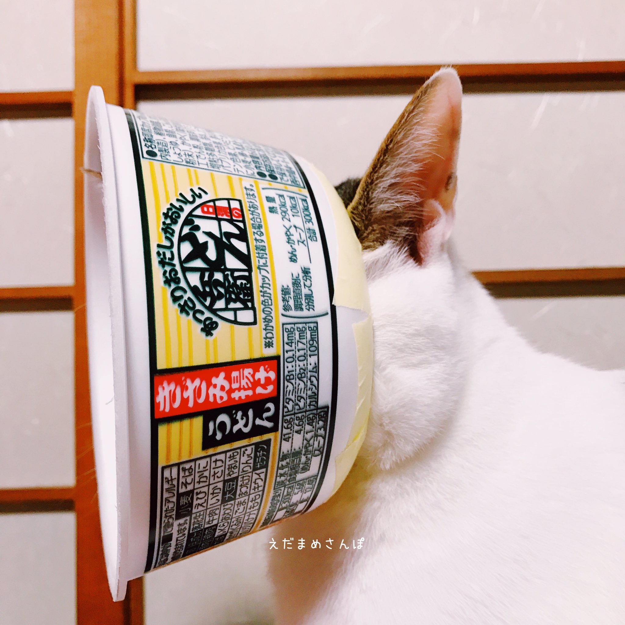 カップ麺カラー Twitter Search Twitter
