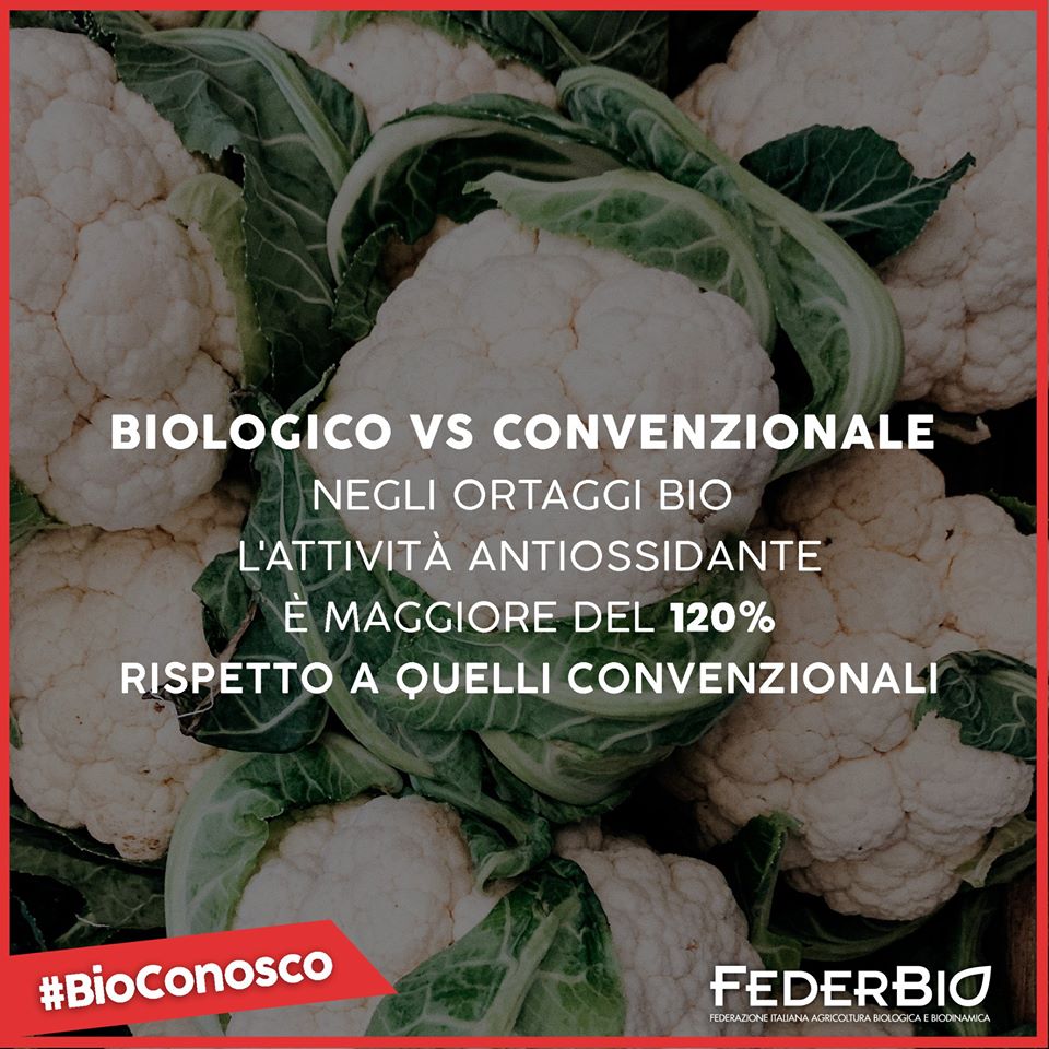 FederBio's tweet photo. #BioConosco
🔴 I ricercatori dell’università di Tokyo hanno esaminato l'attività antiossidante di ortaggi (cavolo cinese, spinaci, peperone, cipollotto ecc.) biologici e convenzionali.
Quella dei prodotti biologici è stata del 120% superiore a quella dei prodotti convenzionali https://t.co/SHEO6gVN2u