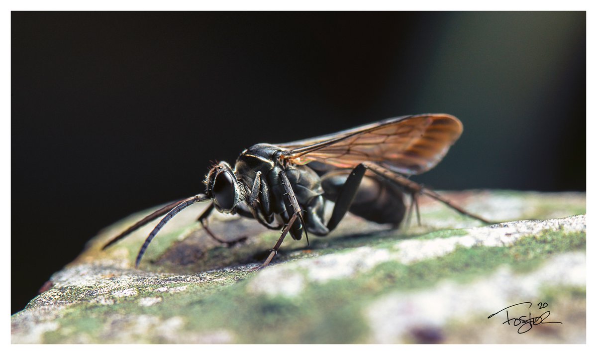 strictly_macro's tweet photo. Sleeping beauty https://t.co/mcHlJAyagA