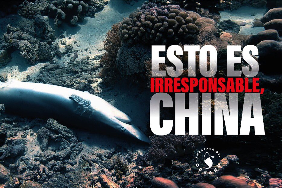 afernandez73's tweet photo. China sigue pescando de manera ilegal en aguas internacionales que no tienen regulación. Si no existen leyes, hay que hacerlas #RetrocedeChina #AvanzaEcuador #AguantaGalápagos https://t.co/TaZc1hmeZn