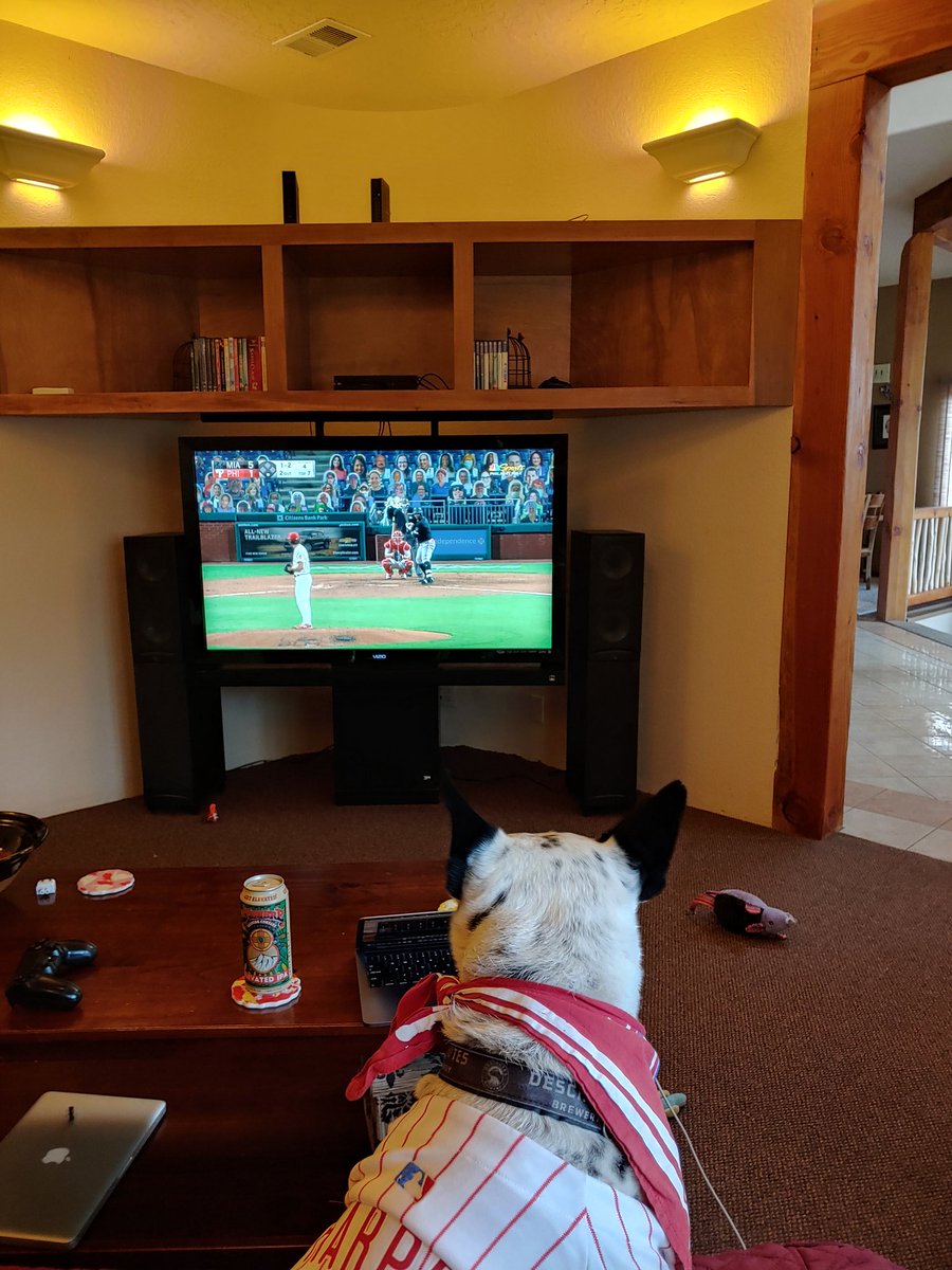 FluidnFractures's tweet photo. Opening day for the @Phillies, she's waiting for them to take the lead. #harperdog #philliesdog #philliesfan https://t.co/wdSimCJ7ST