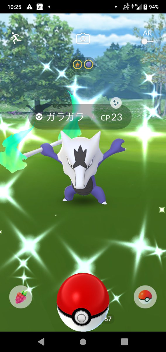 アローラガラガラ色違い Twitter Search アローラガラガラ色違い Twitter Search