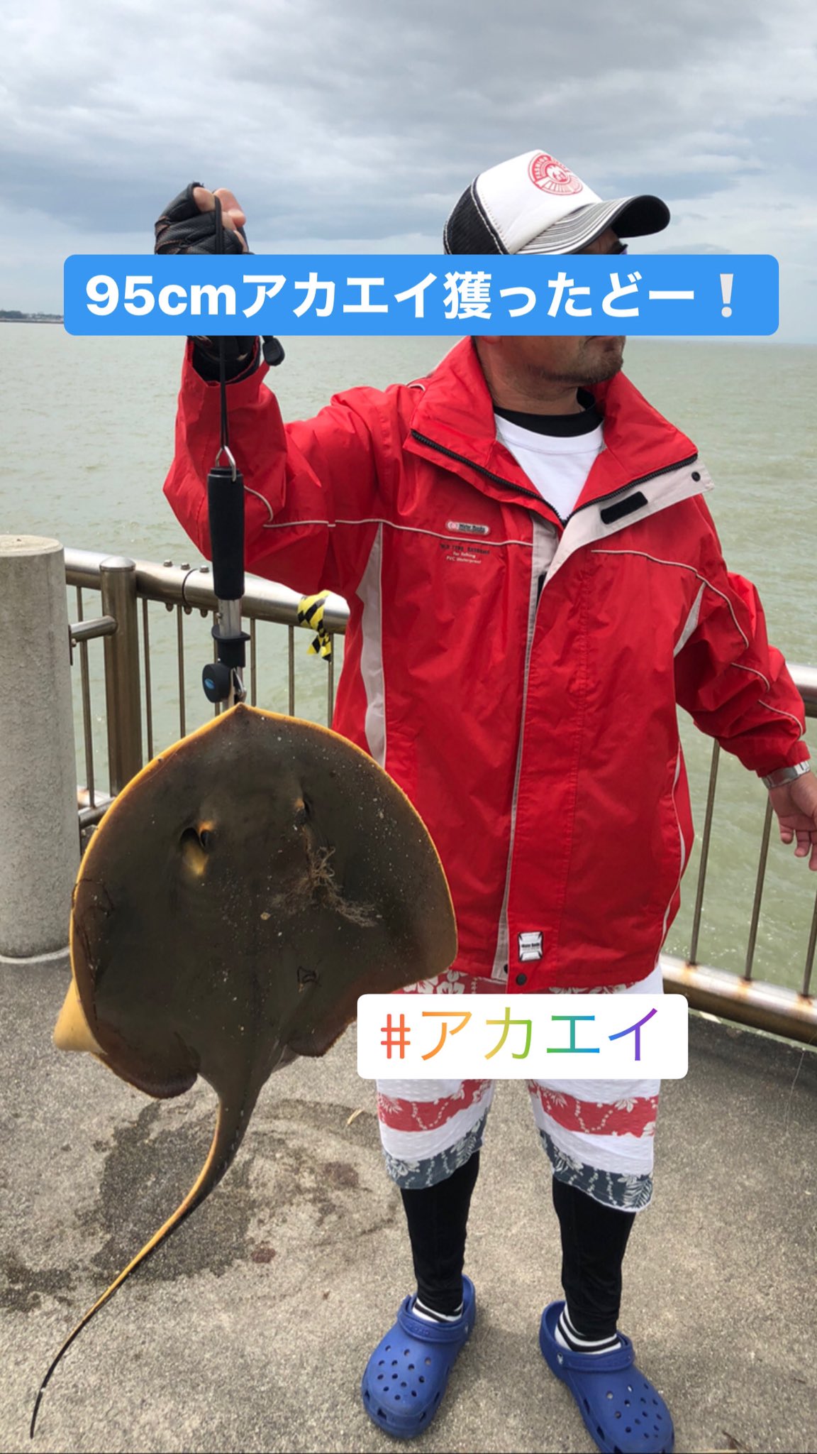 エイの煮付け Twitter Search Twitter