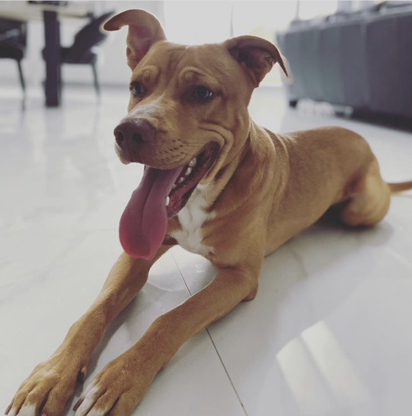 ba_marshall's tweet photo. @ColourPopCo this is thor #Availablestud #MommaisaPIMP https://t.co/zVwIbNHRrc