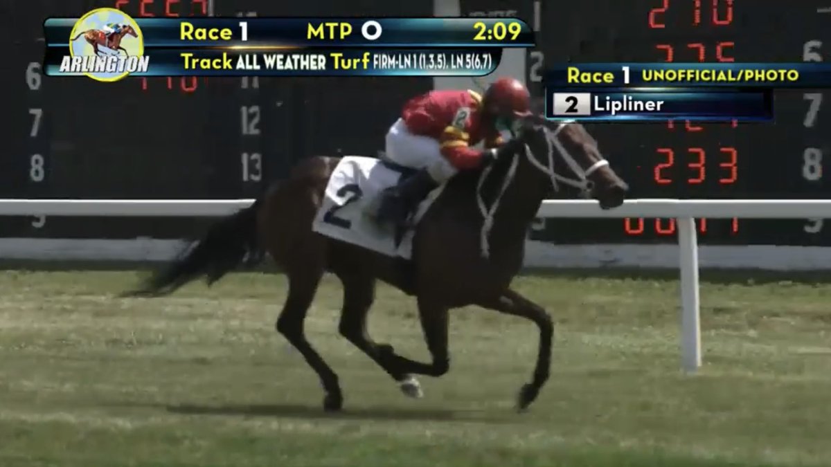 bigsixstables's tweet photo. Big week for #ForestAttack foals at Fairmount and Arlington this week! Wins by Lt. Dan Attack, Rangoon Attack and Lipliner with many others finishing in the money. Congratulations to all the connections! https://t.co/BmWrBYDz88