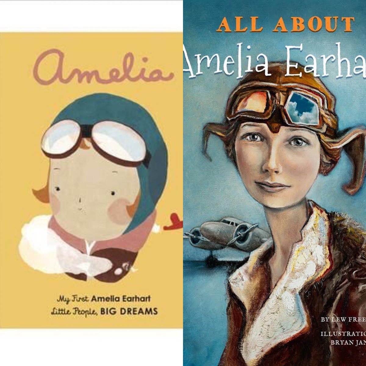 FlightsFantasy's tweet photo. It's Amelia Earhart Day! Let your imagination SOAR! #readeveryday #summerreading #everyonelovesastory #booksabouteverything #flyinthesky https://t.co/gDNLGQ53lo
