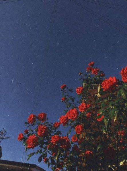 stxtvesque's tweet photo. Hyunin On Track AU

Hyunjin and Jeongin have been best friends ever since. But Jeongin fell in love with his best friend who seems to be in love with another girl. Will he do something about this or will he just continue watching from the sidelines as his heart slowly breaks. https://t.co/Aqf6Tc4KcL