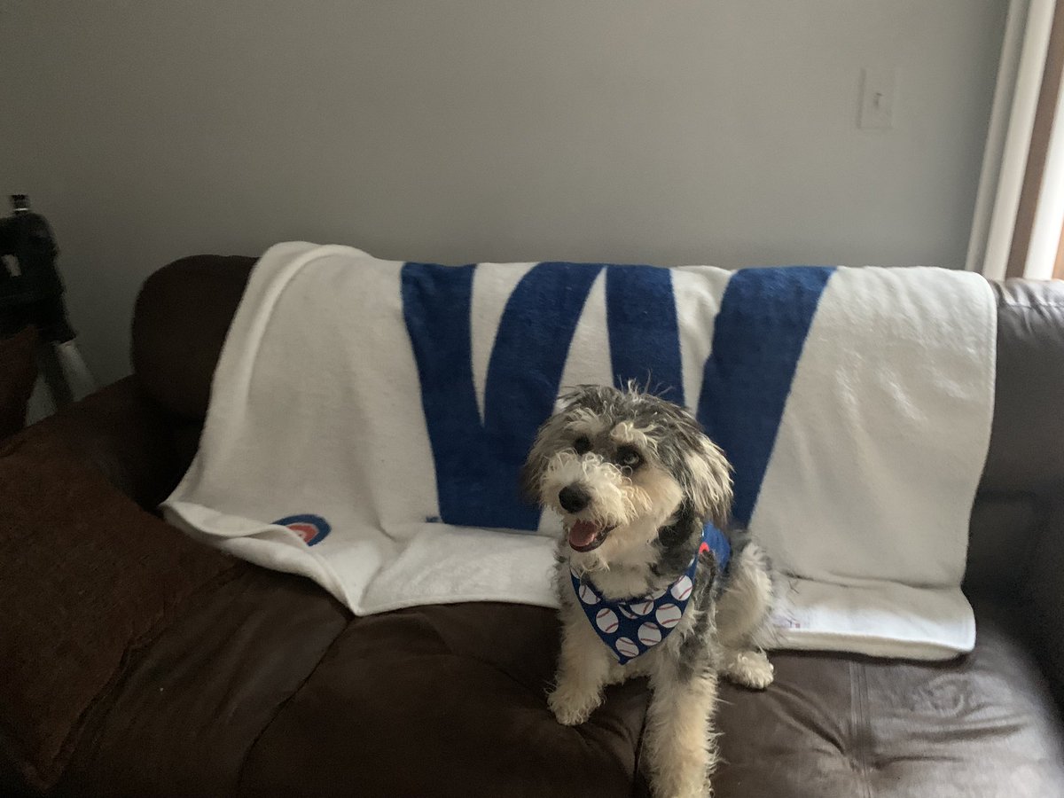 kaneac's tweet photo. #FlyTheW #chicagocubs #GoCubsGo https://t.co/OvwU5LaW6z