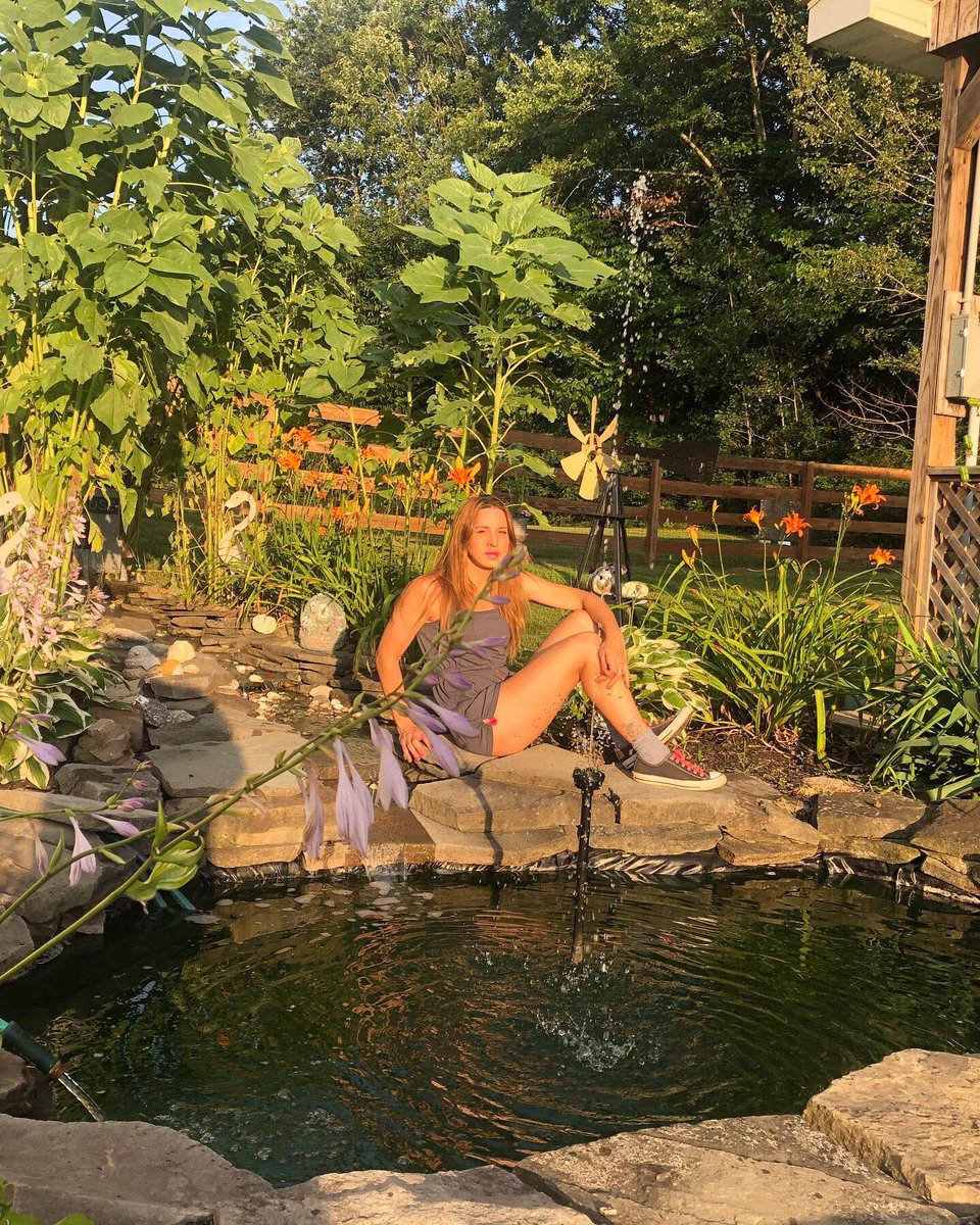1976BadKitty's tweet photo. #athome #summersun #rescuegoldfishpond #sunflowers #waterfall #reflection #reflectionpond #summer #nysummer #DianaLynn #converse #naturallight #lillies #clouds #hudsonvalley https://t.co/CZXqmIYclt