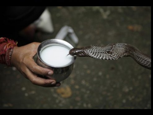 being_brahaman's tweet image. “ May Lord Shiva give power and strength to everyone. Wishing you and your family Happy Nag Panchami
🙏🙏🙏
#NagPanchami2020 
नाग पंचमी🐍🐍🐍