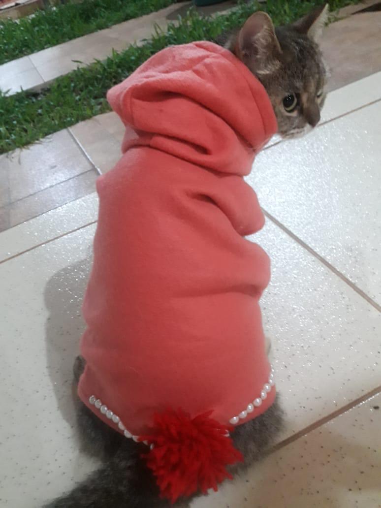 legalmentemoro_'s tweet photo. HOLAAA GENTEE
Mi hermanita tiene un don y es ré emprendedora. Ahora hace ropita para perritos y gatitos.
Queremos que con este cambio de clima estén abrigaditos 🥰
Consultas con Lauri al 0986 911 102.
¿Nos ayudan con un RT? 😁 https://t.co/l6bHc9ADzd