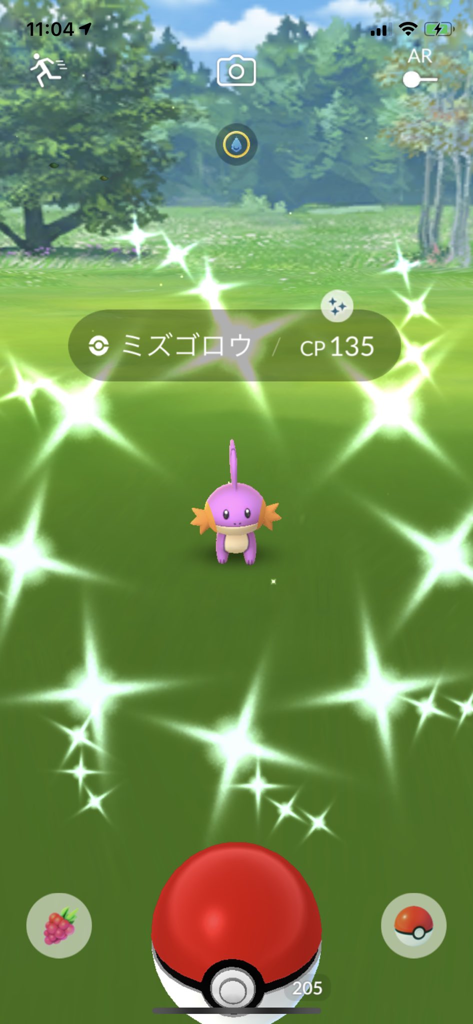 酔いどれボウズマン 雨でどこにも行けないから家でポケモンgoフェスしてるわ ミズゴロウ色違いきた ポケモンgo T Co 9rcrcumwoe Twitter