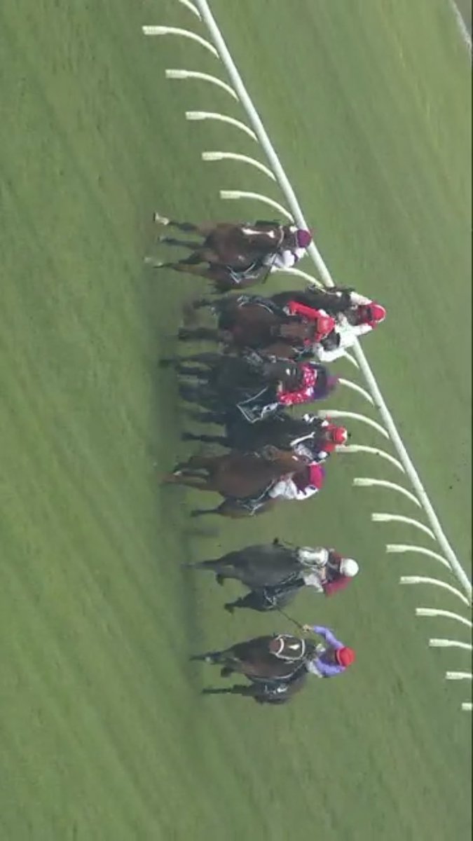 matty_mccabe1's tweet photo. Just watched the #Rosehill replay.
Bloody disgusting by #bowman
Inexcusable to endanger lives like that
#smartimage #Rosehill https://t.co/lzboJoo7uj