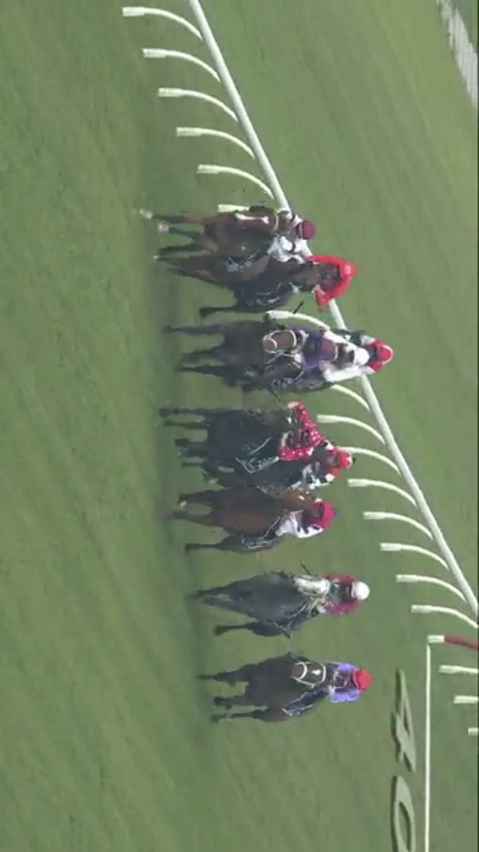 matty_mccabe1's tweet photo. Just watched the #Rosehill replay.
Bloody disgusting by #bowman
Inexcusable to endanger lives like that
#smartimage #Rosehill https://t.co/lzboJoo7uj
