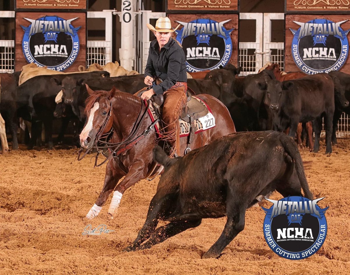 PHorseCentral's tweet photo. Congratulations to Rebecca Sheehan and Counting Starz for winning the #NCHA #MetallicCat Summer Spectacular 5/6-Year-Old Limited Non-Pro with a score of 219! Thanks to Circle Y Ranch for the update! https://t.co/9sLOpXCZOO