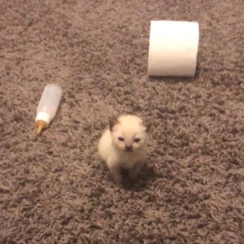 minjae, el error #3 de namjoon. (@fcreveraln) on Twitter photo 