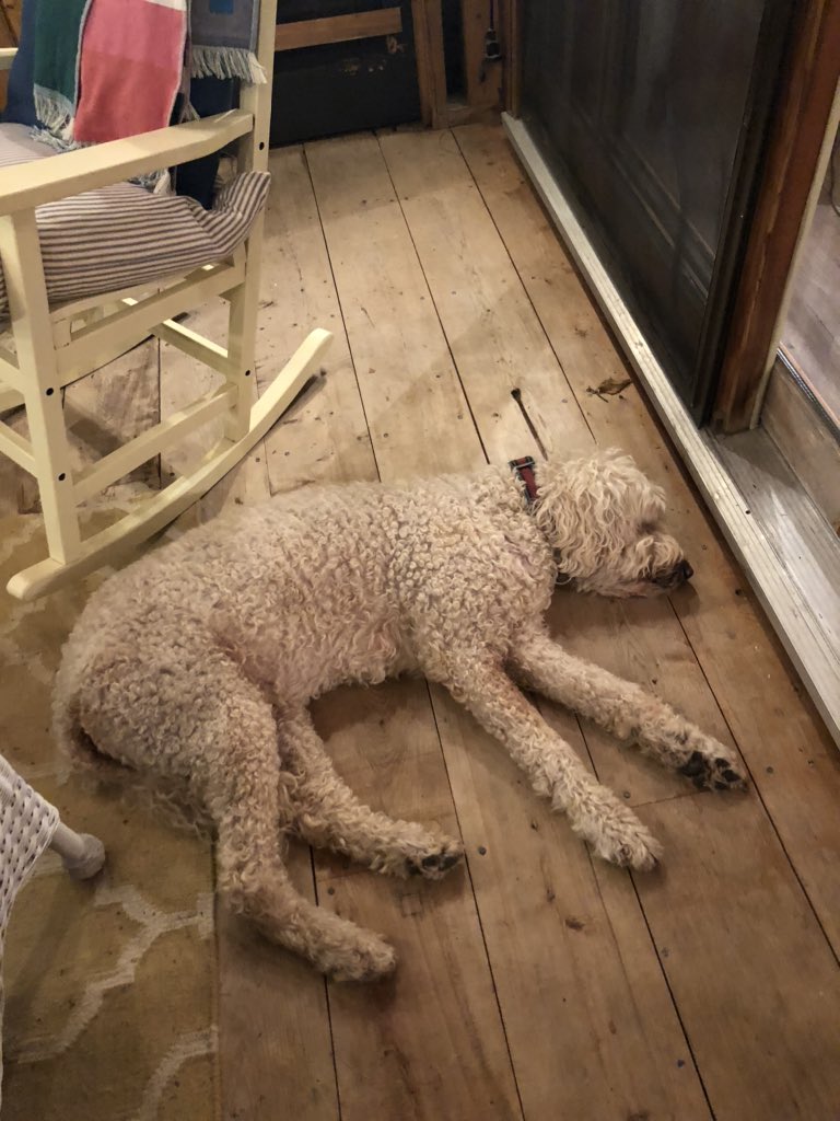 Maureen Holloway tweet media