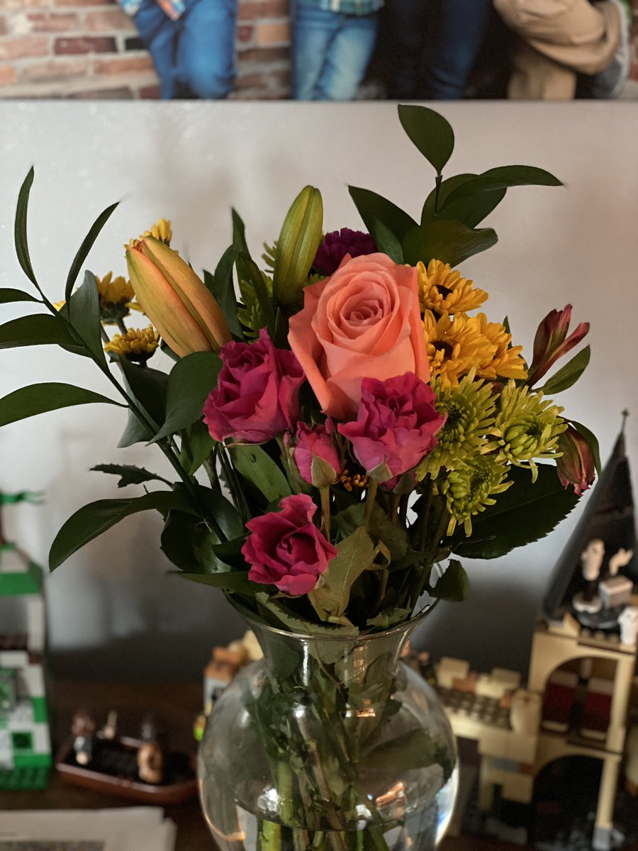 MrsCford_tweets's tweet image. These beauties are a congratulatory gift from my mom for the new position I accepted as a Professional Development Coordinator for ROE 53 starting August 1. Sad to be leaving my Dunlap family, but so excited for this new adventure. #passionateedu