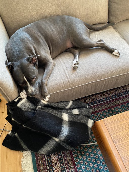 fuck your folded blankets bitch https://t.co/iWlhw37BQb