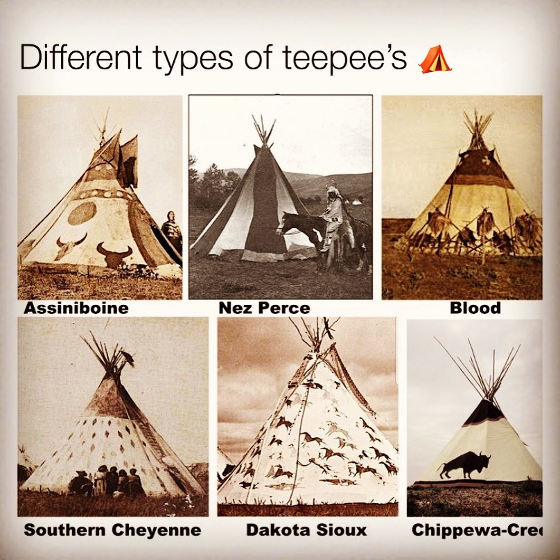 WelcomeNative's tweet photo. 🌼Different type of Native American's teepee
🍒🍒How do you think about this post?
#NativeAmerican
#teepee
#nativepeople
#special
#welcomenativeculturestore https://t.co/KhGHr5I9Ny