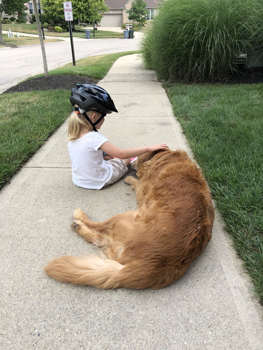 TourdeShadow's tweet photo. It’s been hot. Not lots of adventuring for me. This morning was beautiful though! I was able to spend some time outside with my neighbors. This gal may be my favorite. I had a rough morning and she made it better. #Shadtastic #cuddles #neighborlove #summerheat #hot #bringmefall https://t.co/MDId7m1y7l