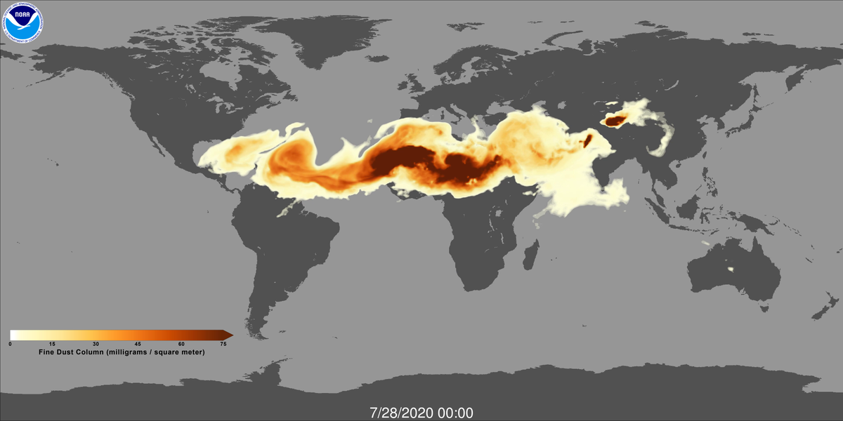 lopezgi's tweet photo. So...📢who is up for getting me #SaharanDust this time?!😃
Another massive dust cloud is entering the @Caribbean now⚠️for +days!
Yes?🤩
Follow my sample collection instructions➡️: https://t.co/aod0ywSJos
🔬💛
#CollectiveScience #OSLDating @NOAA
More ℹ️: https://t.co/ofewozjQIK https://t.co/gAllBnJLSE