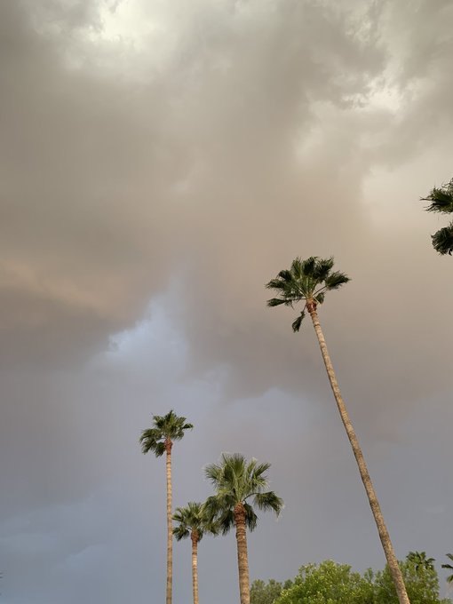 It&rsquo;s finally raining here https://t.co/qNZjVchzAy<a href="/tag/mytwitteranniversary"class="tags"><span>#mytwitteranniversary</span></a>