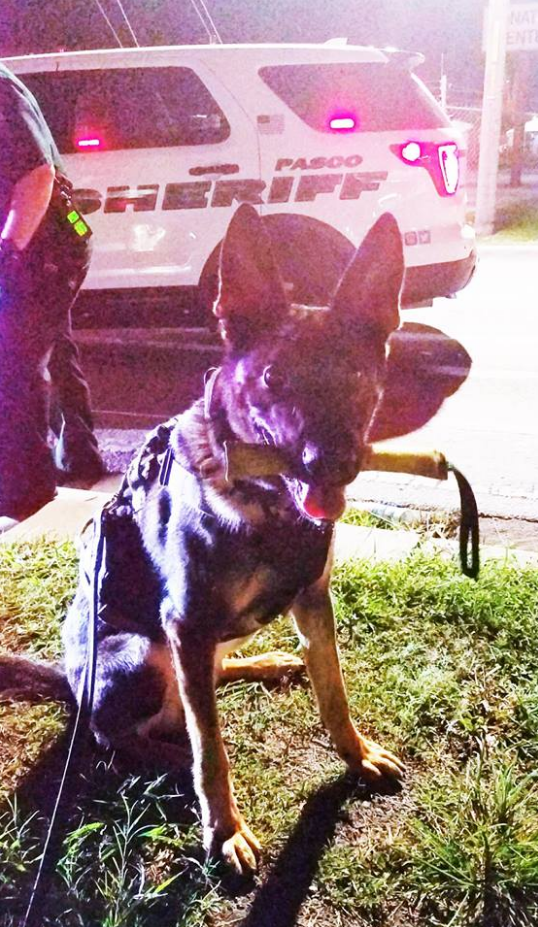 Follow spree #2!!!

Interested in a follow back? RT this post in the next 10 minutes and we will follow you back! 😃