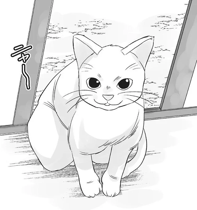 ネッコがまじで下手くそすぎて本当に申し訳ないんだけど数ヶ月前のこの猫からこれだけ急成長したということで許してほしい(でも前のネッコの方が好き笑) 