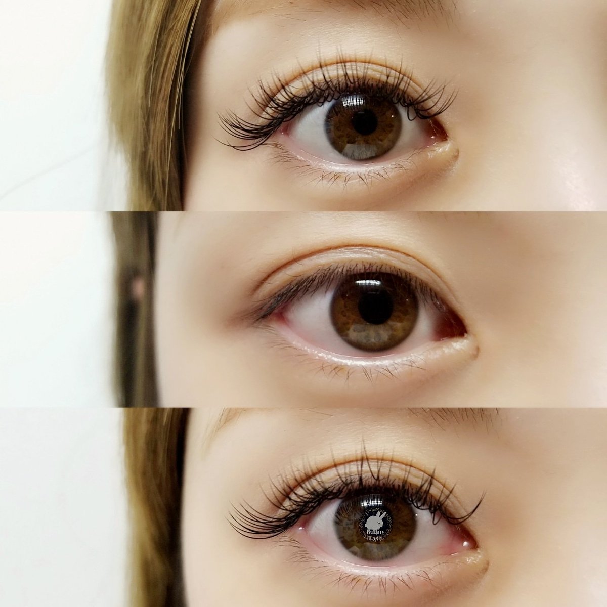 Bunnylash アイブロウ マツエク パリジェンヌラッシュ モデル募集 Sur Twitter 津田沼 錦糸町店 マツエクモニター募集 100本1800円 140本 2500円 御予約 御問い合わせは全てお電話にて 津田沼 0474 08 65 錦糸町 マツエクモデル マツエク