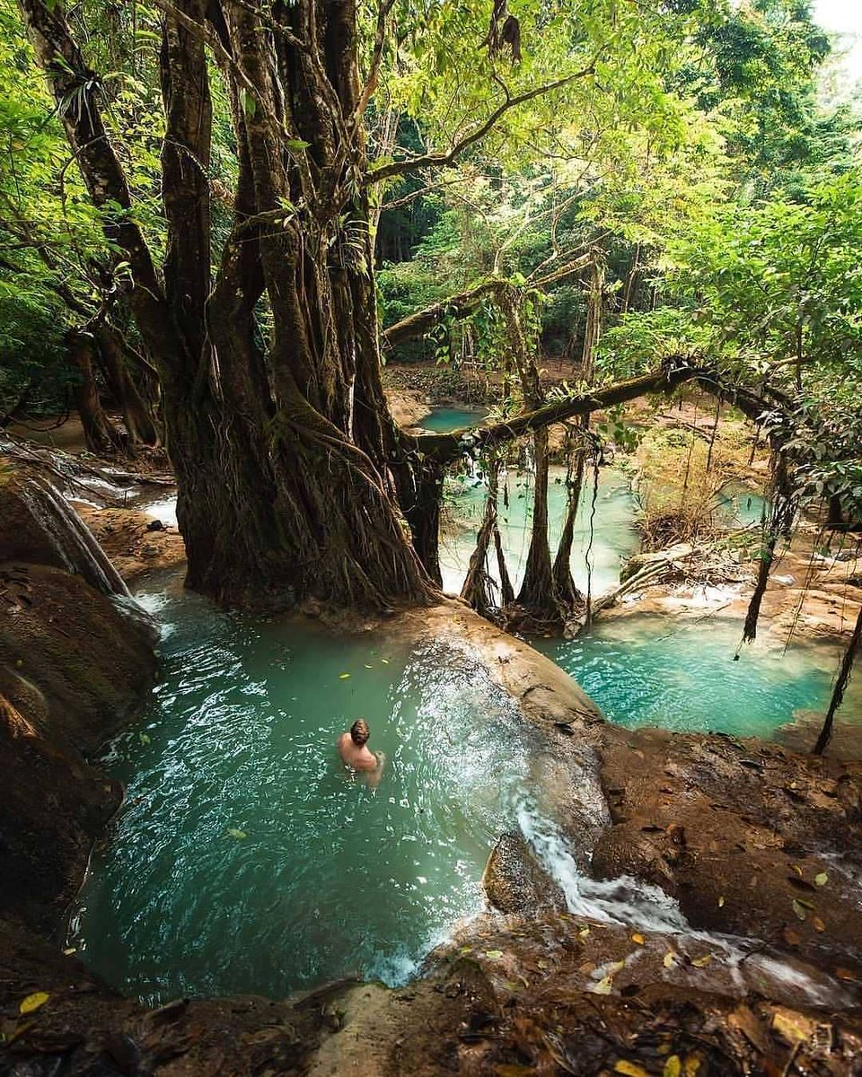 I need to go here 😍❤️
.
.
All thanks to @josiahwg for a wonderful Shot 📸 .
.
.
.
#campinghiking #hikinguk #outdoorsurvival #survivalmode #ourcampinglife
#campingground #hikingtime #survivalofthefittest #forestlovers #outdoorlove
#survivalkit #outdoorlovers #hikingadventures