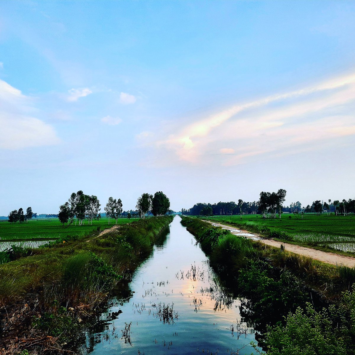 ReadimeReality's tweet photo. Nature.
#WeAreTheGeeters https://t.co/eCRCGOET61