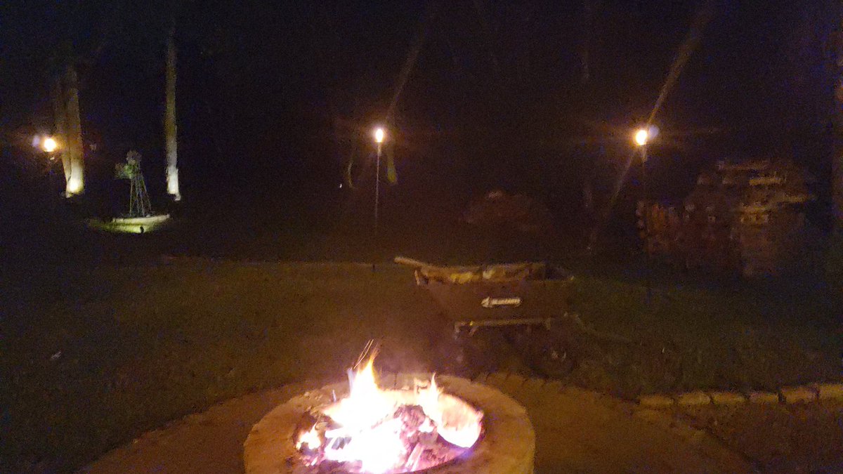 one_silver_wolf's tweet photo. @TimeSuppression I'm just sitting here turning trees into carbon. https://t.co/8yqYlzbbsi
